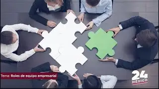 ROLES DE EQUIPO EMPRESARIAL | ESPECIALISTAS 24