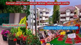 Perjalanan ke Cameron Highland, permandangan yang sangat indah.