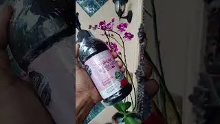 recomendasi pupuk bunga anggrek