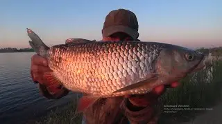 ЗМИЙ