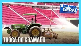 Estádio Mané Garrincha passa por transformação e troca completa do gramado | Balanço Geral DF