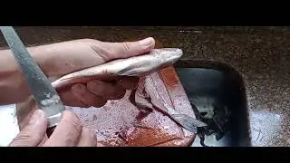 Cocoroca f&aacute;cil de limpar