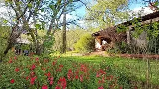 Primavera en el Hotel Rural El Camino  2024