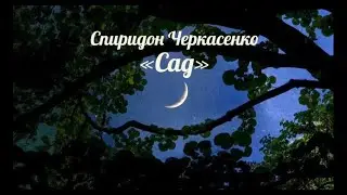 Спиридон Черкасенко. 