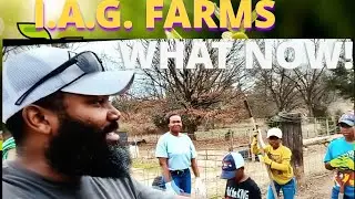 IAG FARMS THE 80/20  SPLIT🪓 🔥#reaction#video 