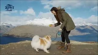 Ziwi Peak Pet Food | Real Nutrition Pets Truly Deserve