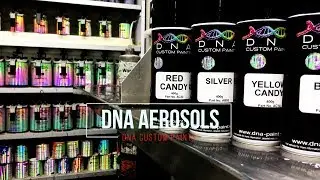 World's Best Paint in a Can! DNA Custom Aerosols