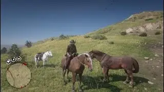 Wild Hungarian Halfbreed