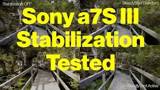 ПРОВЕРЕНО: СТАБИЛИЗАЦИЯ SONY a7S III (SteadyShot Standard, SteadyShot Active, гироскоп a7s3)