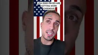 USA Egg Prices Going Crazy 🤨