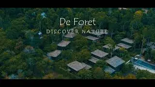 😍De Foret Cinematic Rooms - A Surreal Exploration of Architectural Wonders | Top Havelock Resorts