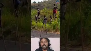 உயரமான கம்புகளைப் பயன்படுத்தி நடக்கும் ஆப்பிரிக்கப் பழங்குடிகள்! #africatribes