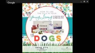 Using Essential Oils With Dogs