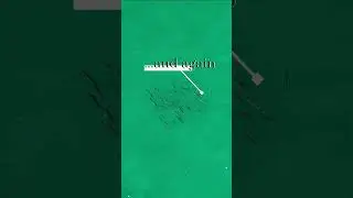The uncommitted Fish: A Drone's View of a School of Fish