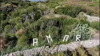 Fieno di Stefano Cangemi