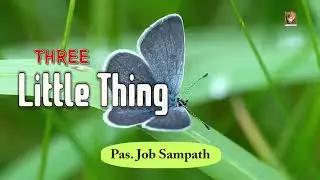 TPM|Message|3 Little things|Pas Sampath Job