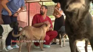Saving dogs from Sulina - READC 2017 - episode 1 (english subtitles)