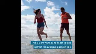 Must Visit Beaches and Provincial Parks in South Shore, Nova Scotia
