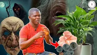 😱Wizard Herbalist:Using coins,saltstone & going nakẽd for herbs;How herbs & plants live like humans