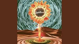 Ground Swell of the Disenchanted (Under One Sun)
