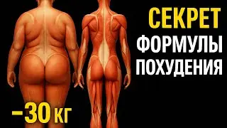 Calories & Macros Explained | Lose Weight Without Starving (for Russian Women in USA)