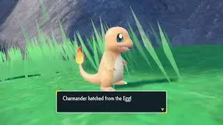 Как получить Чармандера и Чаризарда в Pok&eacute;mon Scarlet и Violet