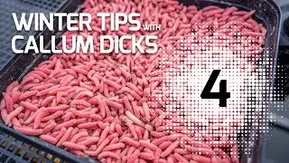 Winter Fishing Tips Number Four: Maver Match Fishing TV: