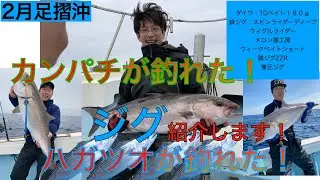 ハガツオとカンパチが釣れたオススメのジグ紹介します。