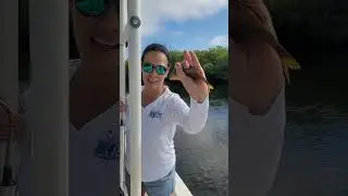 Weekend trip to john pennekamp state park key largo fl #fishing #fishboat #fish 