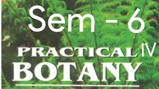 Kerala University BSc Botany - BOTANY -  PRACTICAL IV QUESTIONS  -  ( Sem - 6 )