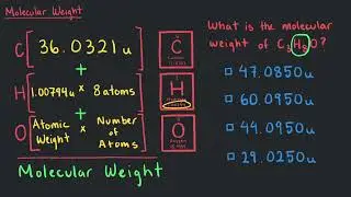 Molecular Weight