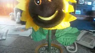 1997 You Are My Sunshine Singing Sunflower