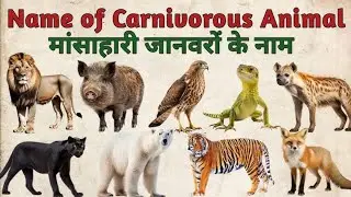 मृत जानवर खाने वाले जानवर | Scavenger Animals Name | Learn Scavenger Animals for Kids | Animals Name