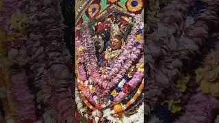 ମା ମଙ୍ଗଳା ଭରଷା 🙌🙇‍♀️🙏//new odia maa mangala bhajan #viral #youtube #maamangala 🌺🙏🌺🙌😍🙌