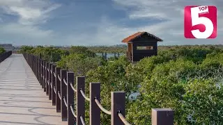 Top 5 Al Khor summer destinations!