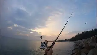 test rod sabpolo eging rod n reel stradic