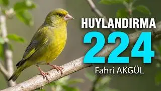 Fahri AKGÜL - Flurya Huylandırma 224