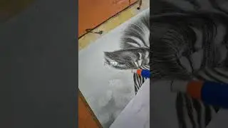 zebra drawing 🦓🦓 #short #shorts #viral #art #drawing #sketch #zebra #animalsdrawing