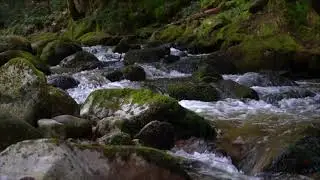 Wasserlandschaft