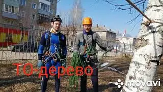 Бревно с перилами Связка.