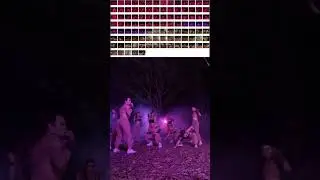 M&igrave;nh sẽ kh&ocirc;ng n&oacute;i c&aacute;i project n&agrave;y ngốn gần 200 shot của anh quay phim cho c&aacute;c bạn đ&acirc;u #zooproject