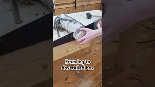 Log to dovetail box with hand tools only