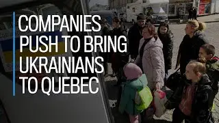 Companies push to bring Ukrainians to Quebec