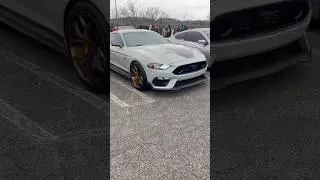 Ford's Finest: Mustang Mach 1 vs Mustang 5.0 - Which is the Ultimate Athlete? #mustang #mach1 #gt