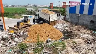 100%Full Video Project Bury Trash By 10 Wheel - 5Ton Truck Unloading Soil & MITSUBISHI Dozer Pushing