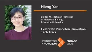 Nieng Yan: A platform that sharpens images of proteins under the microscope