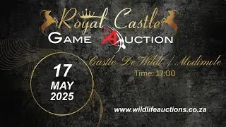 Royal Castle Game Auction 17 May 2025