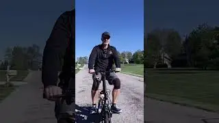 Gyroor C1S Electric Scooter with Dog & Cargo Carrier Short