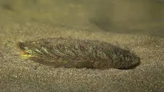 Deep Tech: 1