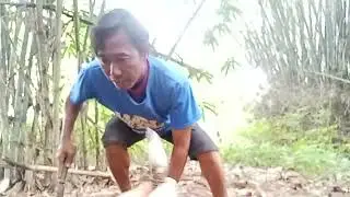 Di ajak paiman cari jamur 🍄&zwj;🟫🍄&zwj;🟫